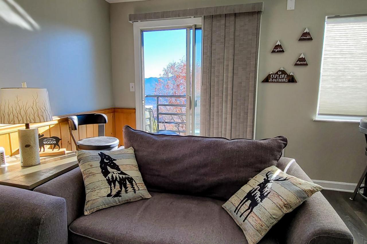 גטלינבורג Summit View Condos מראה חיצוני תמונה
